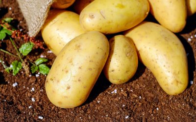 5 Health And Nutrition Benefits Of Potatoes